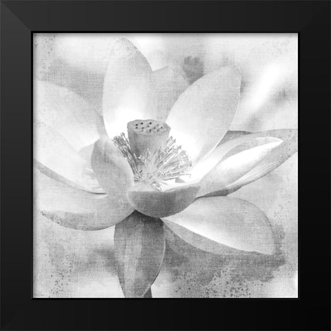 Lotus Black Modern Wood Framed Art Print by Allen, Kimberly