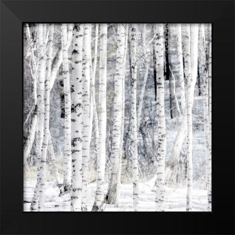 Aspen Snow 1 Black Modern Wood Framed Art Print by Allen, Kimberly
