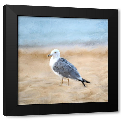 Seagull Black Modern Wood Framed Art Print with Double Matting by Allen, Kimberly