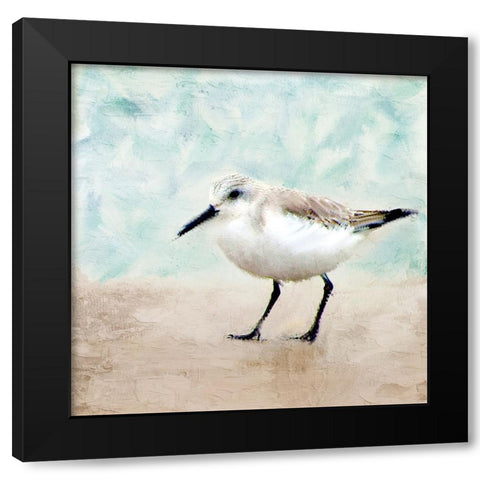 Sandpiper Walk 2 Black Modern Wood Framed Art Print with Double Matting by Allen, Kimberly