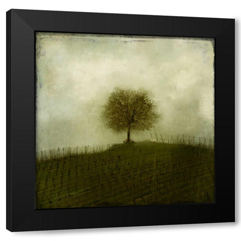 Top of the Hill Black Modern Wood Framed Art Print with Double Matting by Allen, Kimberly