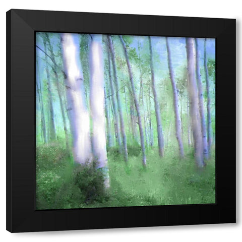 Aspen Grove Black Modern Wood Framed Art Print by Allen, Kimberly