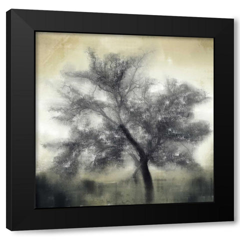 Evening Shadows Black Modern Wood Framed Art Print with Double Matting by Allen, Kimberly