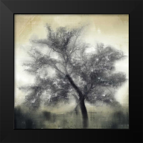 Evening Shadows Black Modern Wood Framed Art Print by Allen, Kimberly