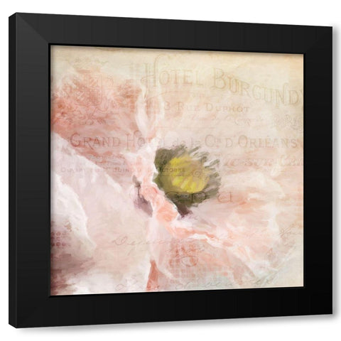 Poppy 2 Black Modern Wood Framed Art Print by Allen, Kimberly