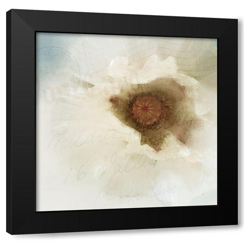 Postcard Poppy Black Modern Wood Framed Art Print by Allen, Kimberly
