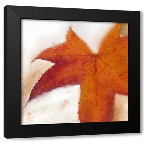 Splatter Leaves 2 Black Modern Wood Framed Art Print with Double Matting by Kimberly, Allen