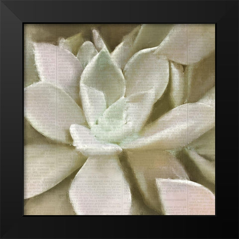 Newspaper Succulent 1 Black Modern Wood Framed Art Print by Kimberly, Allen