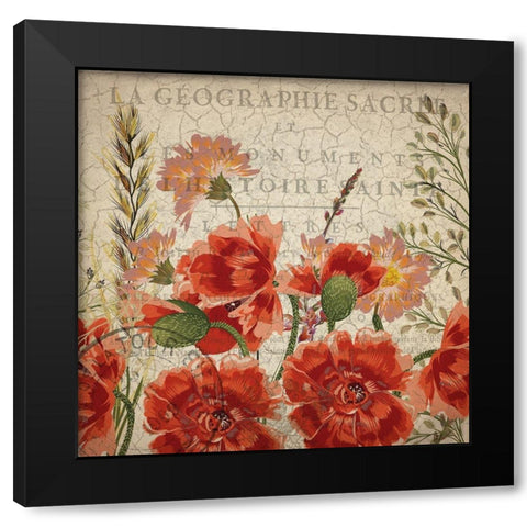 Springtime Blooms Black Modern Wood Framed Art Print with Double Matting by Kimberly, Allen