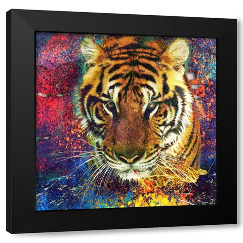 Staring Black Modern Wood Framed Art Print by Kimberly, Allen