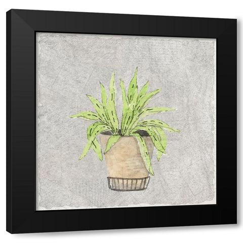 Potted Succulents 2 Black Modern Wood Framed Art Print with Double Matting by Kimberly, Allen