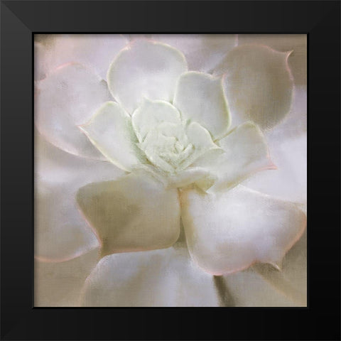 Succulent 2 Black Modern Wood Framed Art Print by Allen, Kimberly