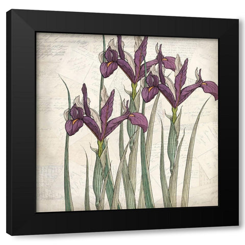 Shades of Purple 3 Black Modern Wood Framed Art Print by Kimberly, Allen