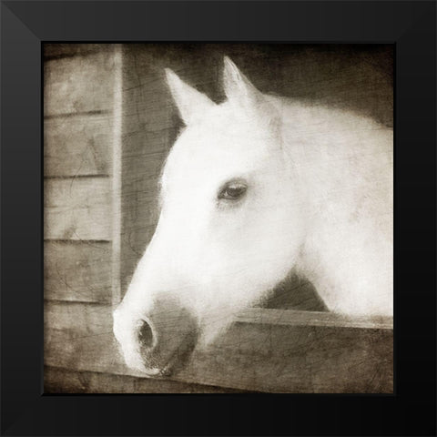 Glory Black Modern Wood Framed Art Print by Allen, Kimberly