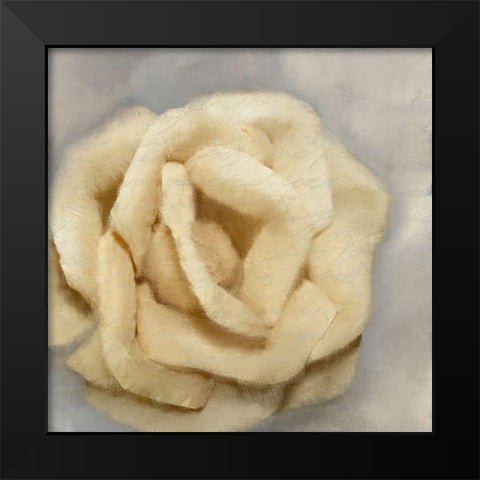 Rosa 1 Black Modern Wood Framed Art Print by Kimberly, Allen