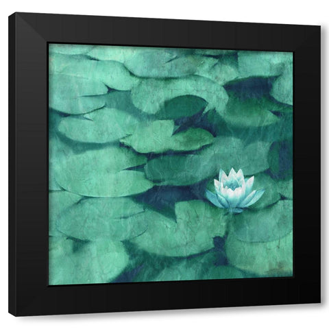 Lotus Blossom Black Modern Wood Framed Art Print with Double Matting by Kimberly, Allen