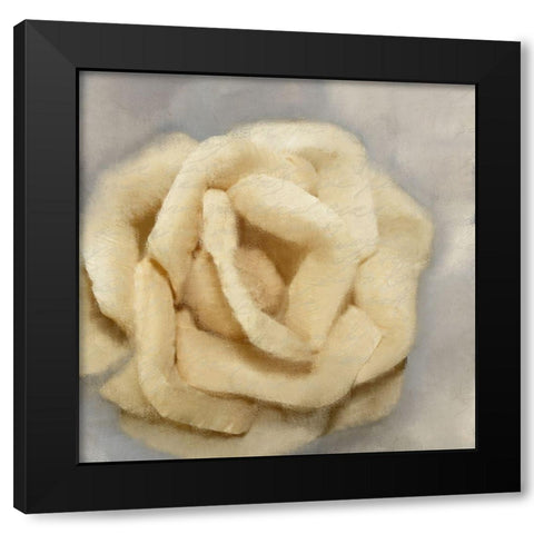Rosa 1 Black Modern Wood Framed Art Print by Kimberly, Allen