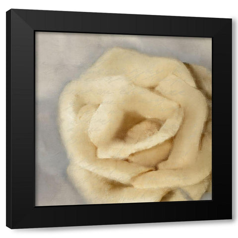 Rosa 2 Black Modern Wood Framed Art Print with Double Matting by Kimberly, Allen