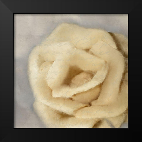 Rosa 2 Black Modern Wood Framed Art Print by Kimberly, Allen