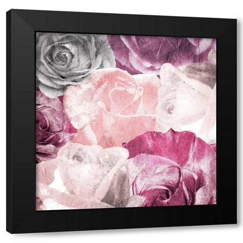 Rose Blooms 2 Black Modern Wood Framed Art Print by Kimberly, Allen