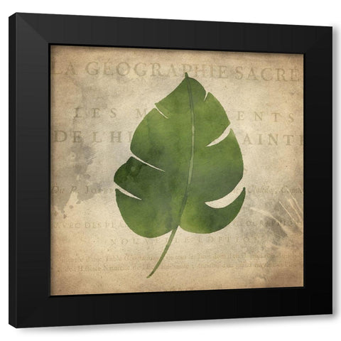 Palms B Black Modern Wood Framed Art Print with Double Matting by Kimberly, Allen