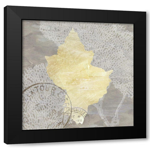 Neutral Shell 1 Black Modern Wood Framed Art Print by Kimberly, Allen