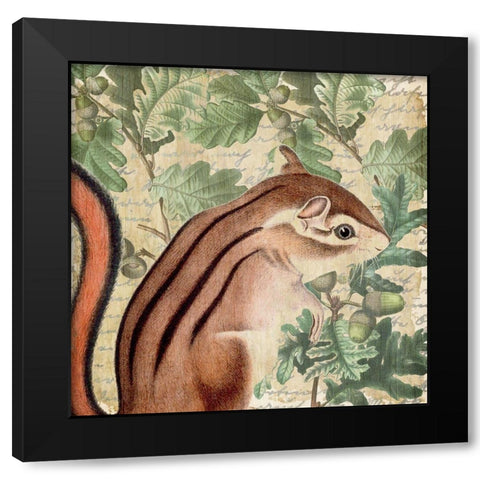Chipmunk Square 1 Black Modern Wood Framed Art Print with Double Matting by Kimberly, Allen