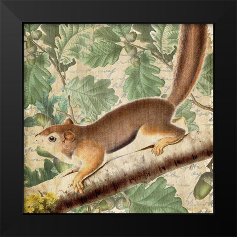 Chipmunk Square 2 Black Modern Wood Framed Art Print by Kimberly, Allen