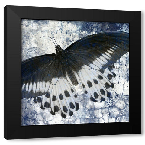 Butterfly Blues 1 Black Modern Wood Framed Art Print by Allen, Kimberly