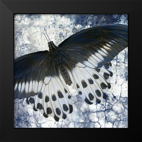 Butterfly Blues 1 Black Modern Wood Framed Art Print by Allen, Kimberly