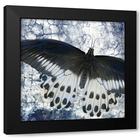 Butterfly Blues 2 Black Modern Wood Framed Art Print with Double Matting by Allen, Kimberly