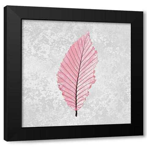 Pink Leaf 3 Black Modern Wood Framed Art Print by Kimberly, Allen
