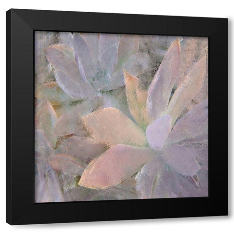 Succulents 2 Black Modern Wood Framed Art Print with Double Matting by Kimberly, Allen