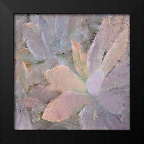 Succulents 2 Black Modern Wood Framed Art Print by Kimberly, Allen