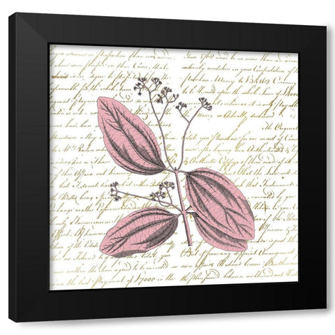 English Blush 1 Black Modern Wood Framed Art Print with Double Matting by Kimberly, Allen