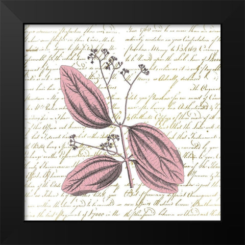 English Blush 1 Black Modern Wood Framed Art Print by Kimberly, Allen