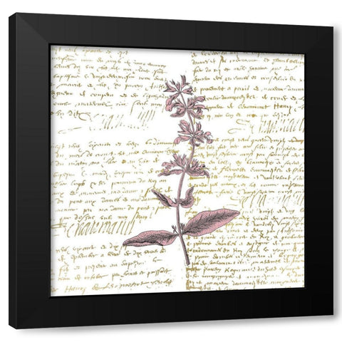 English Blush 2 Black Modern Wood Framed Art Print by Kimberly, Allen