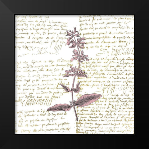 English Blush 2 Black Modern Wood Framed Art Print by Kimberly, Allen