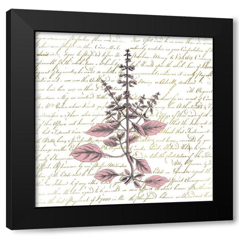 English Blush 3 Black Modern Wood Framed Art Print by Kimberly, Allen