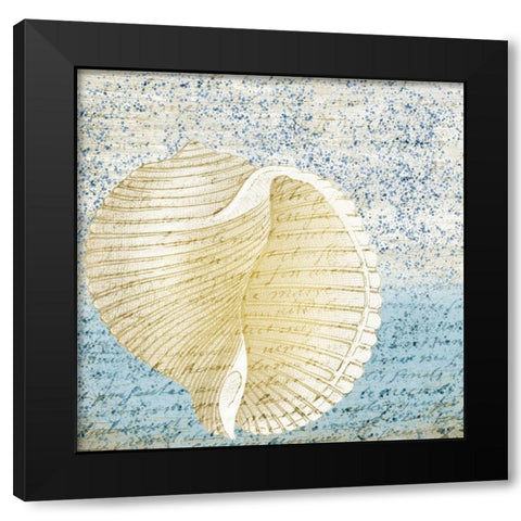 Spotted Shell 1 Black Modern Wood Framed Art Print with Double Matting by Kimberly, Allen