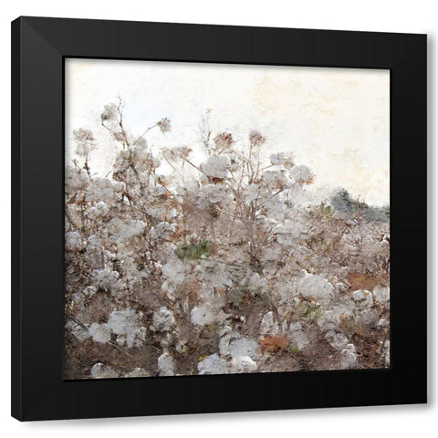 Cotton Field 1 Black Modern Wood Framed Art Print with Double Matting by Kimberly, Allen