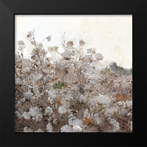 Cotton Field 1 Black Modern Wood Framed Art Print by Kimberly, Allen
