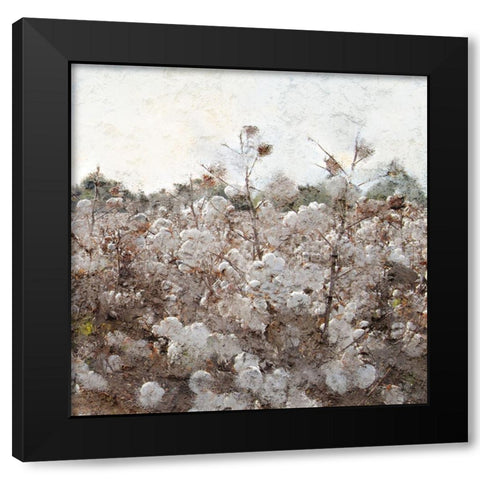 Cotton Field 2 Black Modern Wood Framed Art Print with Double Matting by Kimberly, Allen