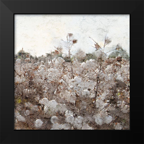 Cotton Field 2 Black Modern Wood Framed Art Print by Kimberly, Allen