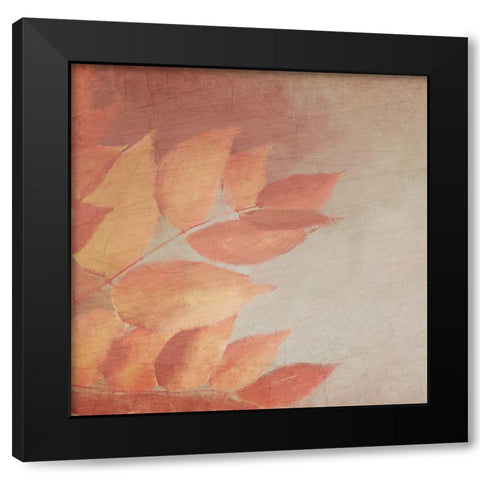 Fall Colors 1 Black Modern Wood Framed Art Print by Kimberly, Allen