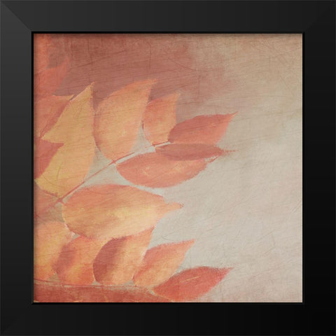 Fall Colors 1 Black Modern Wood Framed Art Print by Kimberly, Allen