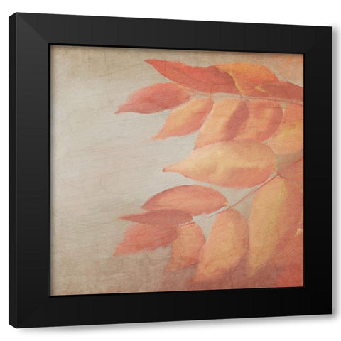Fall Colors 2 Black Modern Wood Framed Art Print by Kimberly, Allen