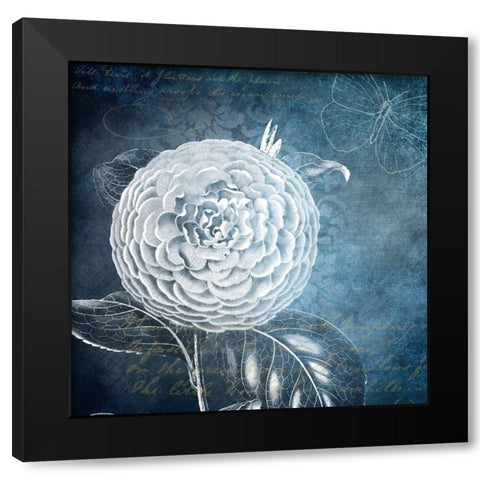 White Bloom 1 Black Modern Wood Framed Art Print by Kimberly, Allen