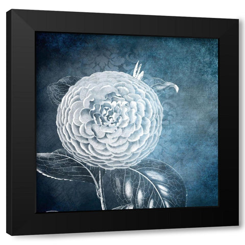 White Bloom 1 Black Modern Wood Framed Art Print with Double Matting by Kimberly, Allen