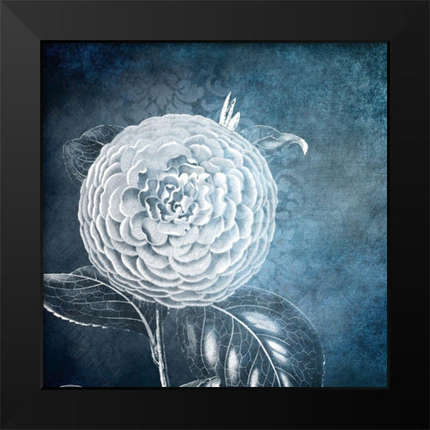 White Bloom 1 Black Modern Wood Framed Art Print by Kimberly, Allen